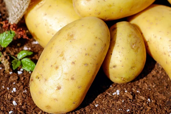 Torun, Tarım Bakanı’nın ‘patates ve soğan’ açıklamasını değerlendirdi