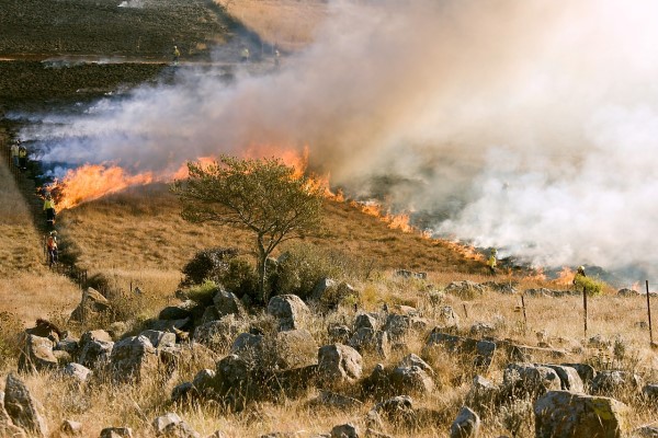 Marmaris’teki orman yangını kontrol atına alındı