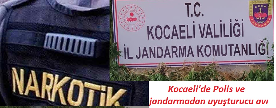 Kocaeli’de Polis ve Jandarma uyuşturucu operasyonları gerçekleştirdi