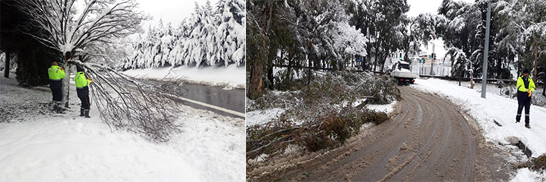 Gebze bölgesinde kar yağışında kırılan ağaç dalları kaldırılıyor