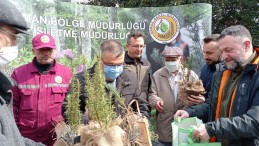 Orman Haftası Etkinlikleri Kapsamında 15.255 Fidan Doğayla Buluştu