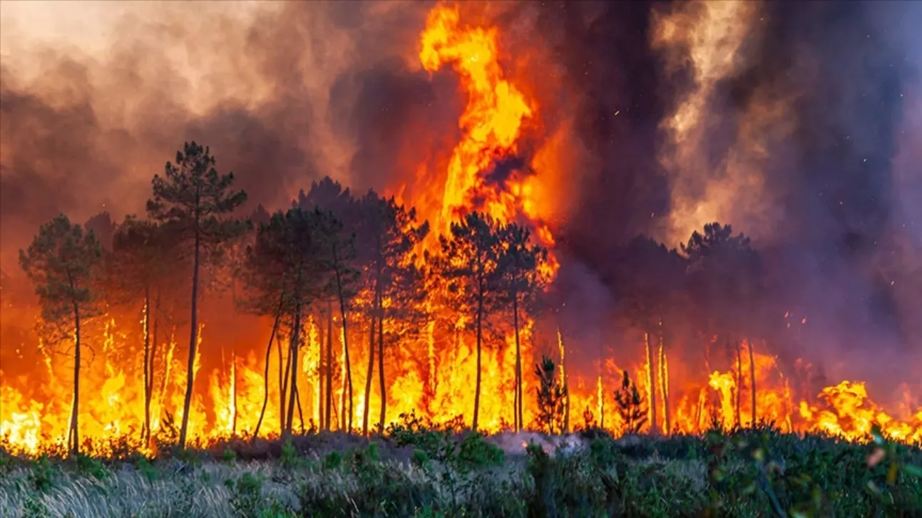 İşte Orman Yangınlarını Önlemek İçin Valilikçe Alınan Kararlar