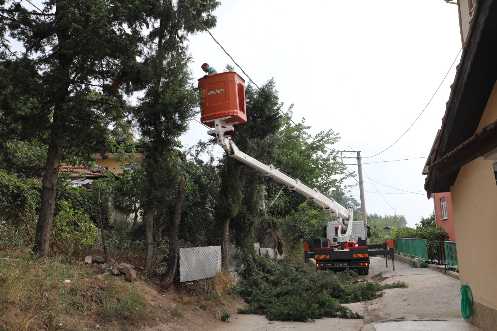 İzmit Belediyesi yol için sökülen ağaçları kendi alanına yeniden dikti